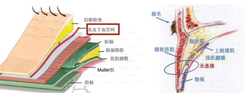 眼睛疤痕