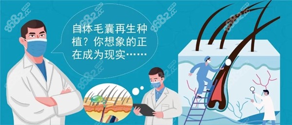 自体毛囊再生种植新动态