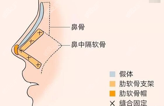 李晨耕医生简介