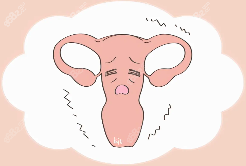 韓國女性私密整形手術(shù)哪家醫(yī)院做得好