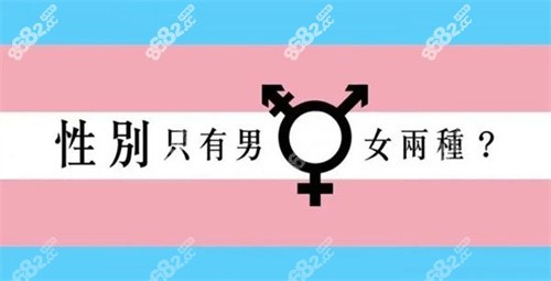 泰國女變男變性手術價格