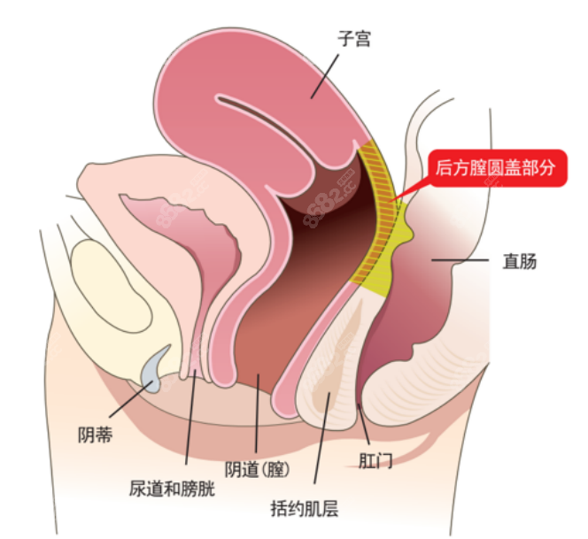 韩国好手艺医院缩阴手术