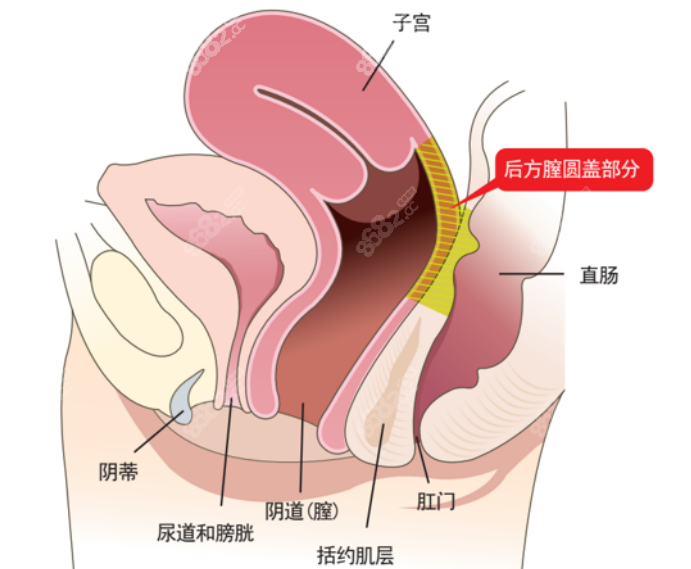 韩国好手艺缩阴手术