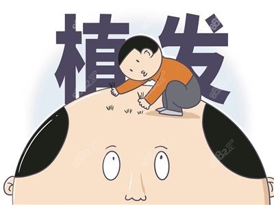 植发和加密可以一起做吗www.8682.cc