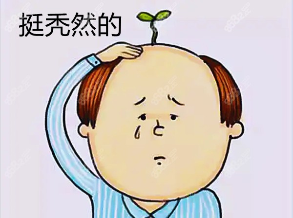 神农架秃顶植发价格多少钱