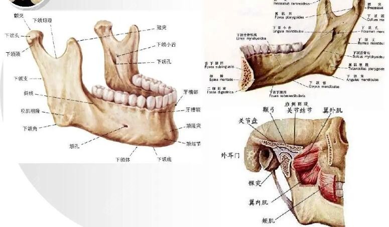 南宁爱思特整形高伟磨骨口碑点评