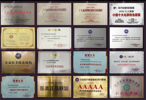 <!--<i data=20240705-sp></i>-->醫(yī)學(xué)美容醫(yī)院榮譽(yù)資質(zhì)