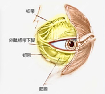 张冰洁修复眼睛