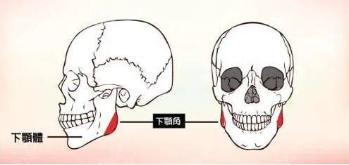 中國(guó)頜面磨骨修復(fù)醫(yī)生排名前十公示www.ekelt.cn