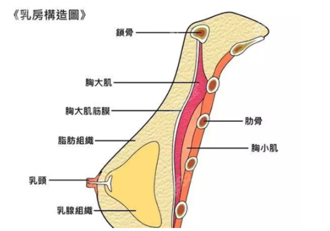 罗盛康医生隆胸