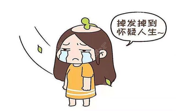 三明植发一个毛囊要多少钱www.8682.cc
