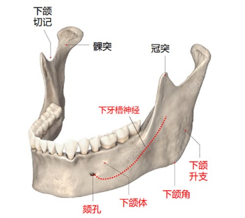 广州柳超医生下颌角截骨技术可靠