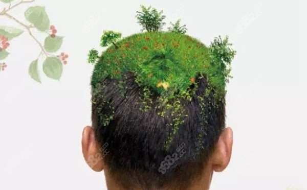 邢台哪里有可以植发的医院