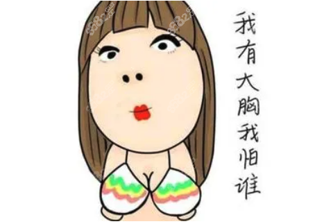 中国十大隆胸医生排行榜