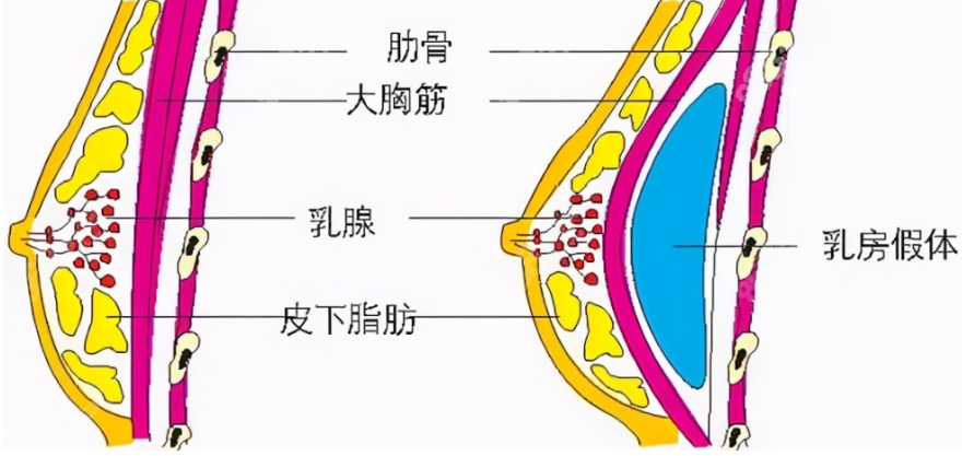 斯良洪医生在哪家医院上班？