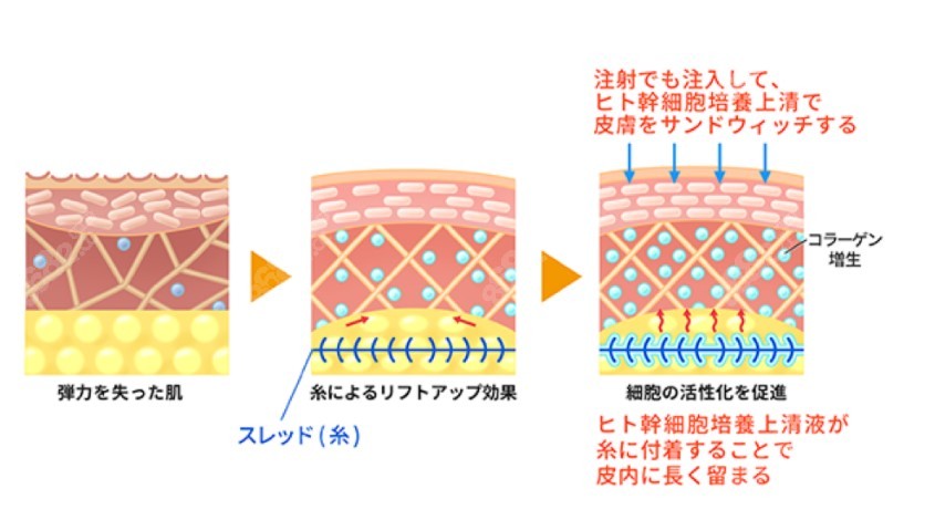 日本自由之丘美容医院