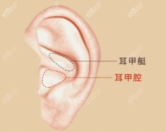 宁波艺星<!--<i data=20240705-sp></i>-->明做的鼻子怎么样