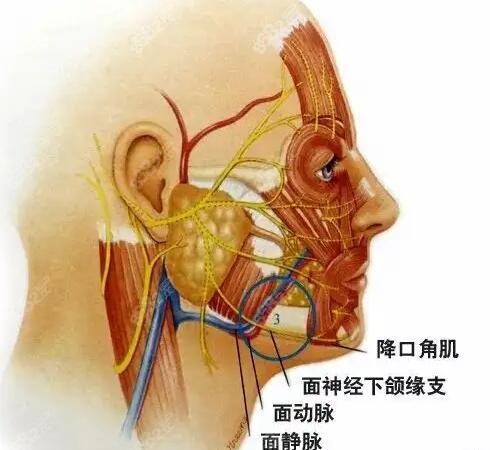 韩国迷你小拉皮手术维持时间是多久