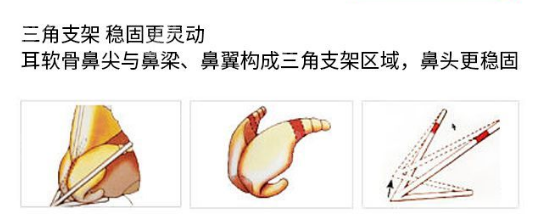 南京華美曹海峰做鼻子技術優(yōu)勢