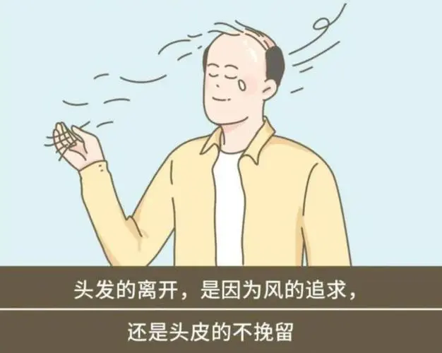 头发少怎么办