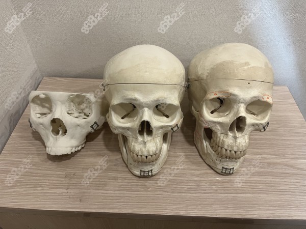 韓國伊美芝輪廓三件套