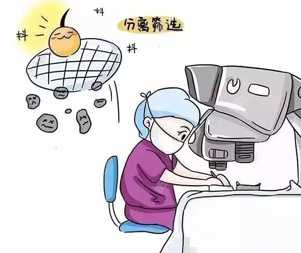 植发分离毛囊是怎样的