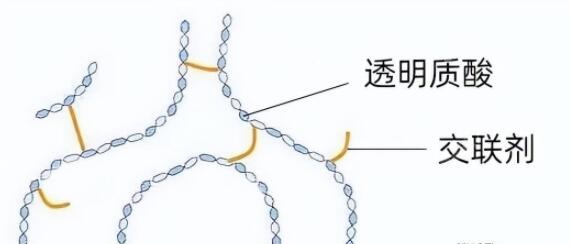 菲欧曼玻尿酸含交联剂多吗