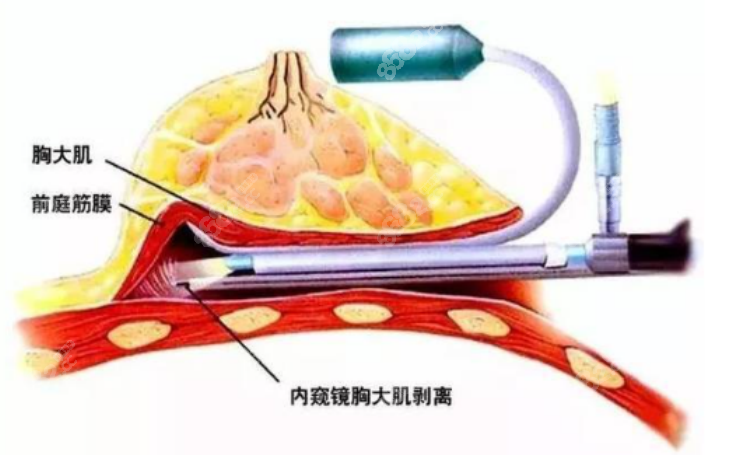 罗志敏医生坐诊在哪个医院？