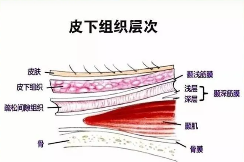 耳再造失败了怎么修复www.8682.cc