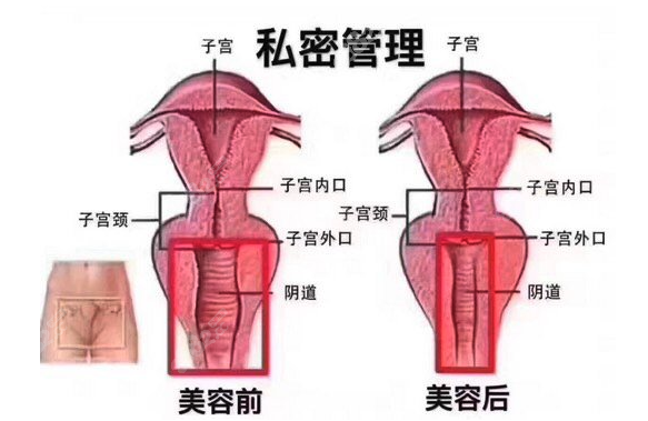 中国十大私密整形医院www.8682.cc