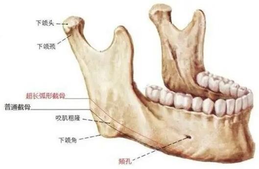 项昌峰磨骨怎么样