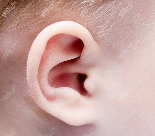 正常的耳朵
