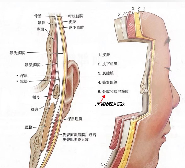 v美减龄手术深入层次8682.cc