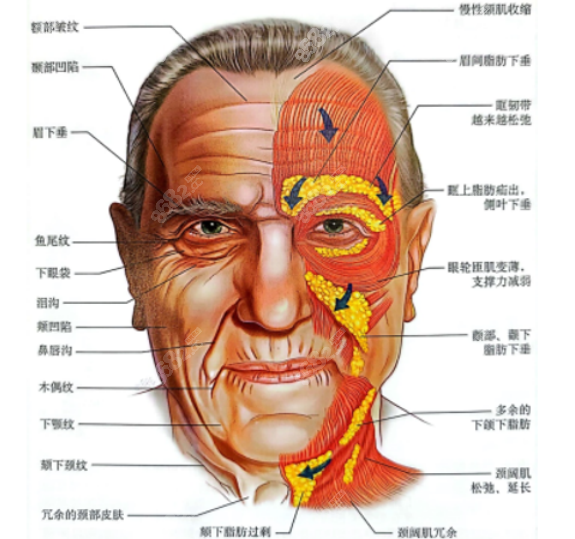 邱立东医生