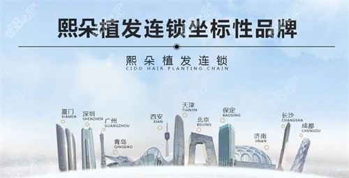 熙朵植发连锁品牌
