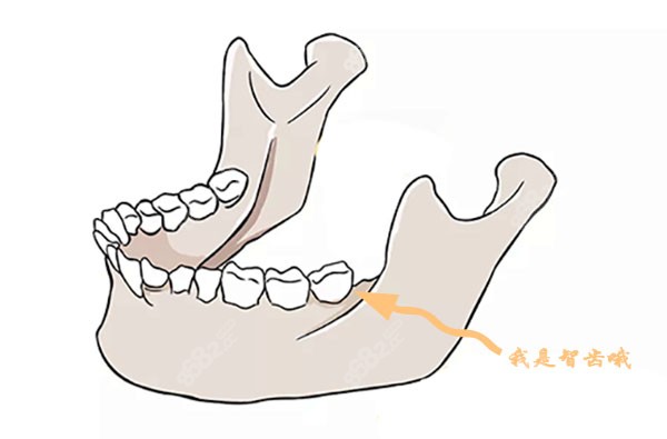 m.8682.cc