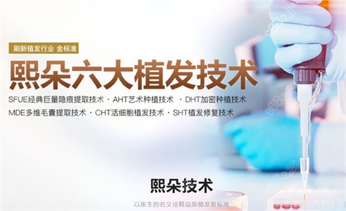 熙朵植发六大技术