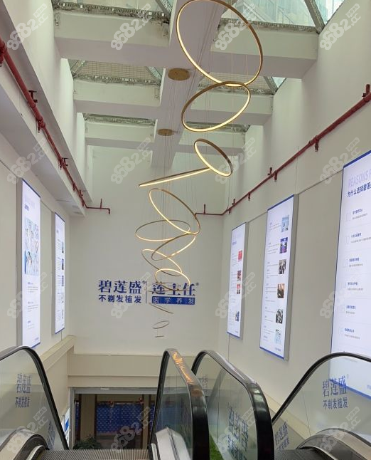 福州碧莲盛植发价格表www.8682.cc