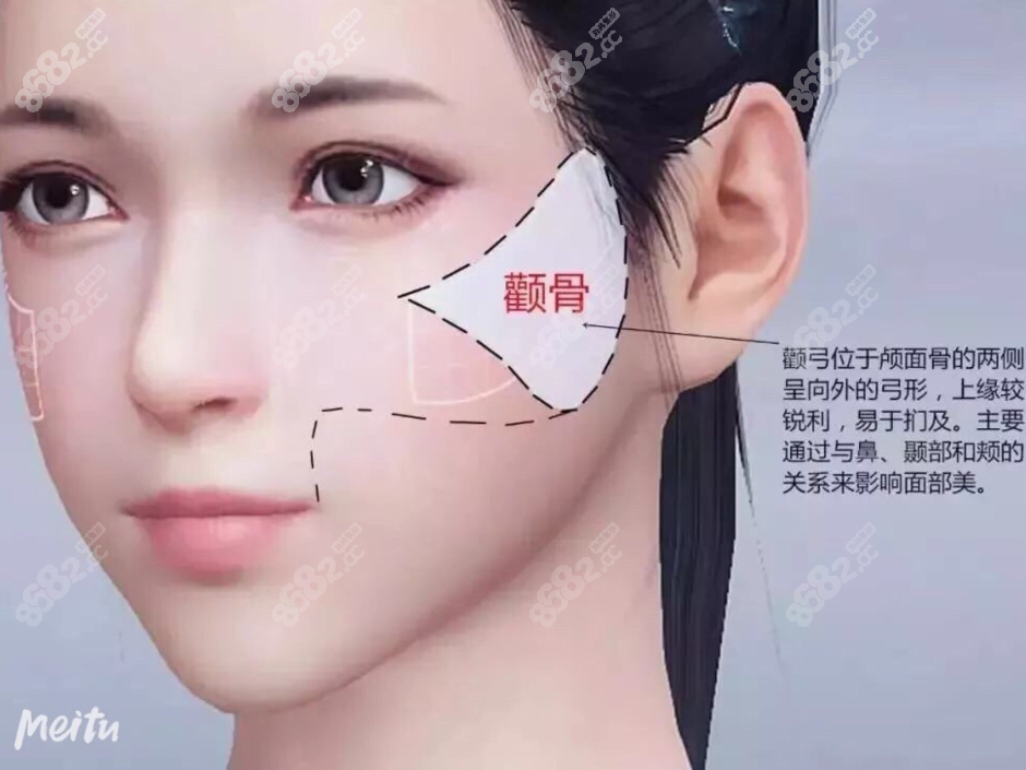 面部美学