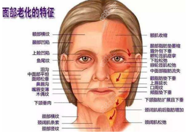 北京加减美整形医院预约黄院长好预约吗