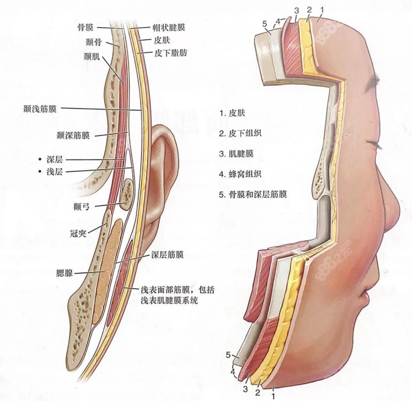 穆宝安面部提升怎么样