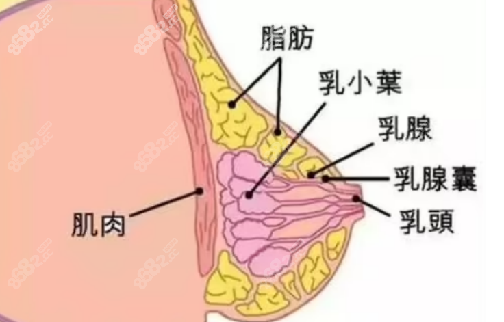 曾昂医生隆胸