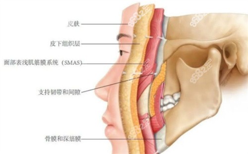 4STCM面部提升价格是多少？