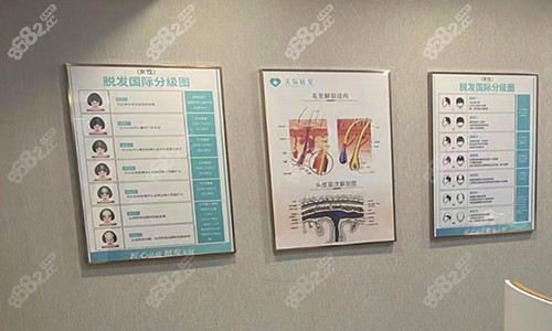 <!--<i data=20240705-sp></i>-->植发专科医院