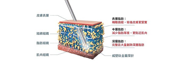 威塑脂雕马甲线