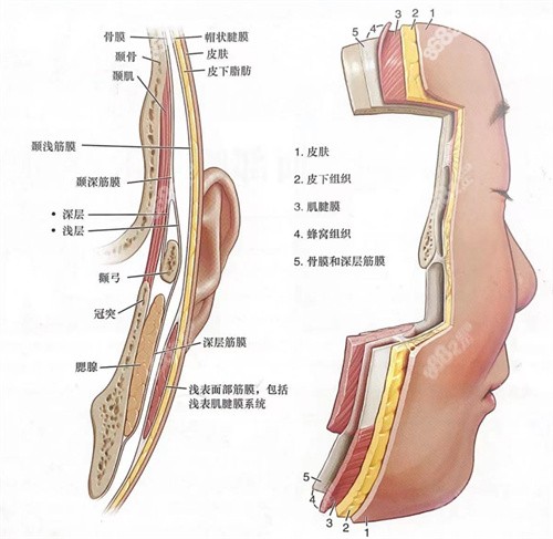 北京加减美医院面部提升怎么样？