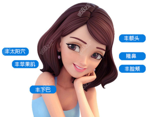 内外轮廓固定玻尿酸多少钱