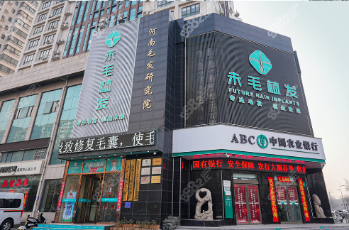 洛陽(yáng)未毛植發(fā)外觀 洛陽(yáng)未毛植發(fā)外觀