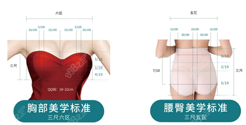 不同部位的美学标准