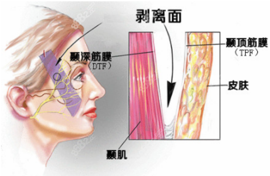 李晓东pst一个部位多少钱